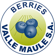 Logo Valle Maule